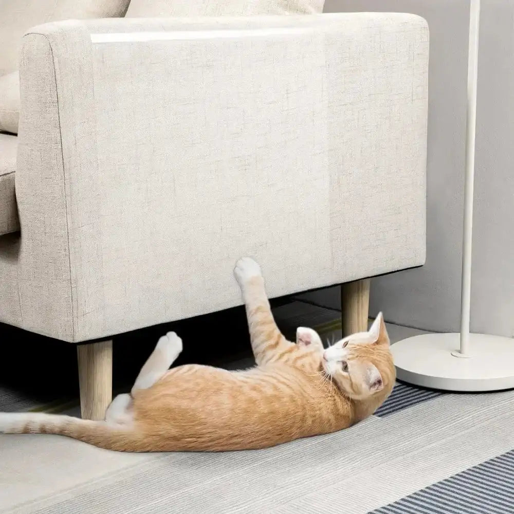 Cat lying on the floor in front of a beige sofa